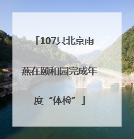 107只北京雨燕在颐和园完成年度“体检”
