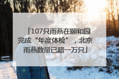107只雨燕在颐和园完成“年度体检”，北京雨燕数量已超一万只