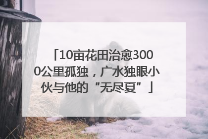 10亩花田治愈3000公里孤独，广水独眼小伙与他的“无尽夏”