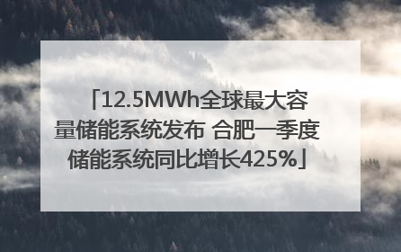 12.5MWh全球最大容量储能系统发布 合肥一季度储能系统同比增长425%