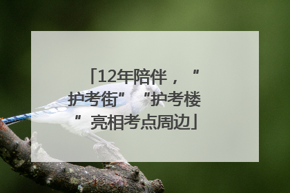 12年陪伴，“护考街”“护考楼”亮相考点周边