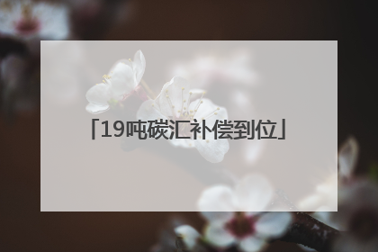 19吨碳汇补偿到位