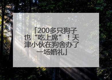 200多只狗子也“吃上席”！天津小伙在狗舍办了一场婚礼