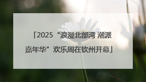 2025“浪漫北部湾 潮派嘉年华”欢乐周在钦州开幕