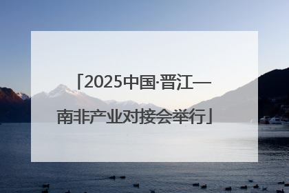 2025中国·晋江—南非产业对接会举行