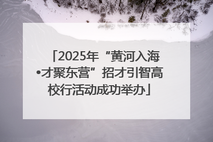 2025年“黄河入海•才聚东营”招才引智高校行活动成功举办
