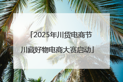 2025年川货电商节川藏好物电商大赛启动