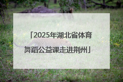 2025年湖北省体育舞蹈公益课走进荆州