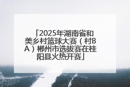 2025年湖南省和美乡村篮球大赛（村BA）郴州市选拔赛在桂阳县火热开赛