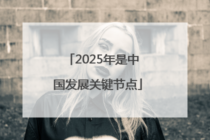 2025年是中国发展关键节点
