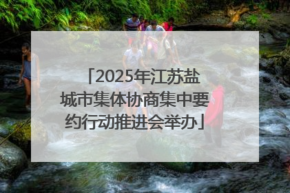2025年江苏盐城市集体协商集中要约行动推进会举办