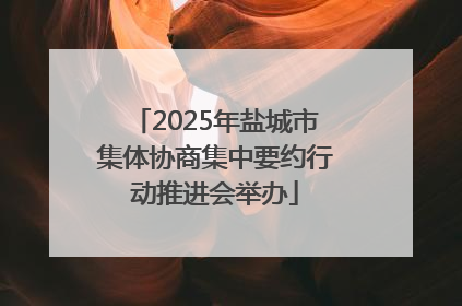 2025年盐城市集体协商集中要约行动推进会举办