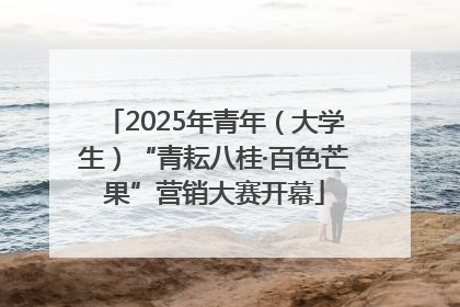 2025年青年（大学生）“青耘八桂·百色芒果”营销大赛开幕