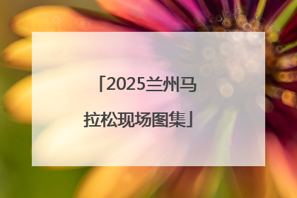 2025兰州马拉松现场图集