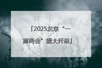 2025北京“一展两会”盛大开幕