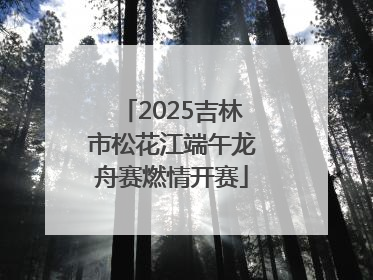 2025吉林市松花江端午龙舟赛燃情开赛