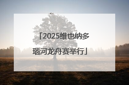 2025维也纳多瑙河龙舟赛举行