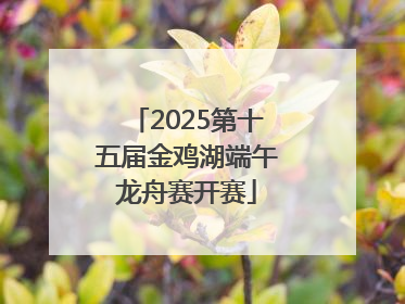 2025第十五届金鸡湖端午龙舟赛开赛