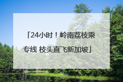24小时！岭南荔枝乘专线 枝头直飞新加坡