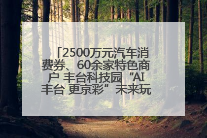 2500万元汽车消费券、60余家特色商户 丰台科技园“AI丰台 更京彩”未来玩家市集活动正式开幕