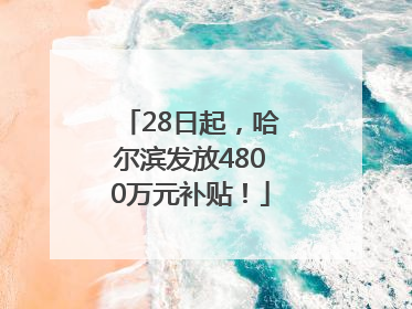28日起，哈尔滨发放4800万元补贴！