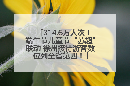 314.6万人次！端午节儿童节“苏超”联动 徐州接待游客数位列全省第四！