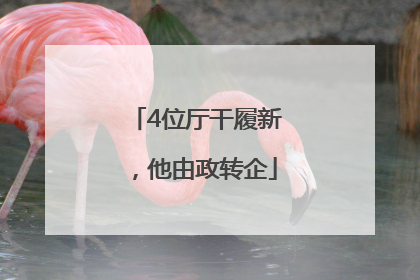 4位厅干履新，他由政转企