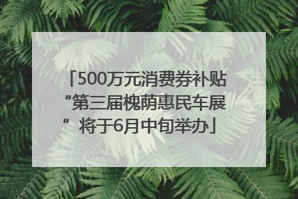 500万元消费券补贴 “第三届槐荫惠民车展”将于6月中旬举办
