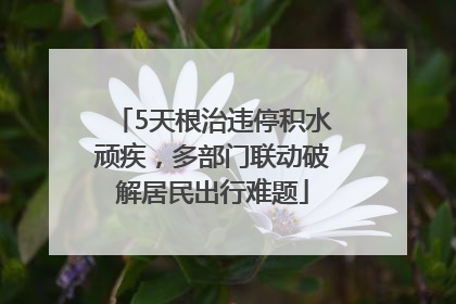 5天根治违停积水顽疾，多部门联动破解居民出行难题