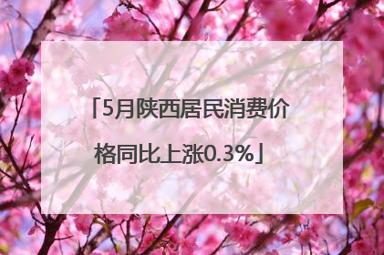 5月陕西居民消费价格同比上涨0.3%