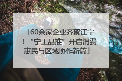 60余家企业齐聚江宁！“宁工品推”开启消费惠民与区域协作新篇