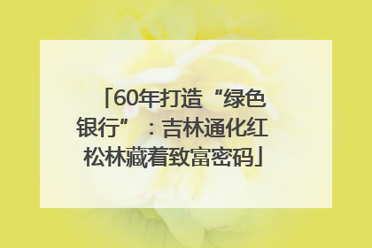 60年打造“绿色银行”：吉林通化红松林藏着致富密码