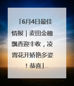 6月4日最佳情报｜麦田金穗飘香迎丰收，凌霄花开娇艳多姿！恭喜