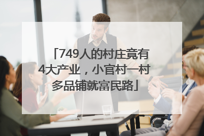 749人的村庄竟有4大产业，小官村一村多品铺就富民路