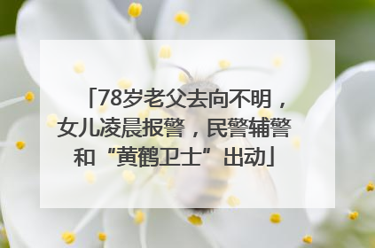 78岁老父去向不明，女儿凌晨报警，民警辅警和“黄鹤卫士”出动