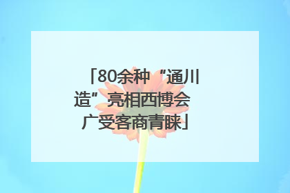 80余种“通川造”亮相西博会 广受客商青睐