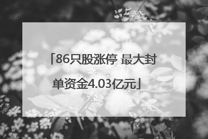 86只股涨停 最大封单资金4.03亿元