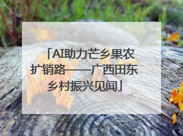 AI助力芒乡果农扩销路——广西田东乡村振兴见闻
