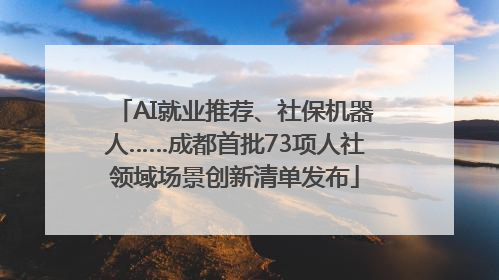 AI就业推荐、社保机器人……成都首批73项人社领域场景创新清单发布