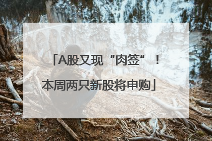 A股又现“肉签”！本周两只新股将申购