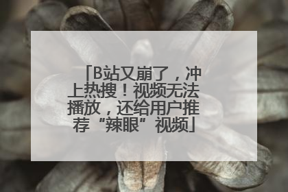 B站又崩了，冲上热搜！视频无法播放，还给用户推荐“辣眼”视频