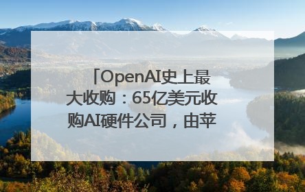 OpenAI史上最大收购：65亿美元收购AI硬件公司，由苹果前设计总监创办