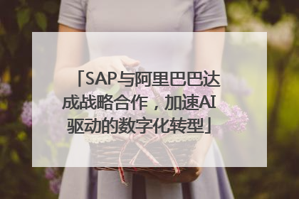 SAP与阿里巴巴达成战略合作，加速AI驱动的数字化转型