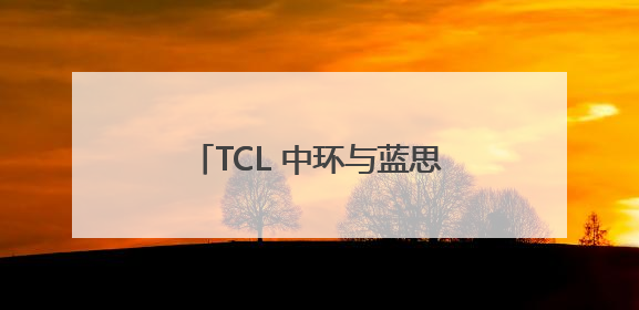 TCL 中环与蓝思新能源达成战略合作，共推绿色能源发展