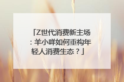Z世代消费新主场：羊小咩如何重构年轻人消费生态？